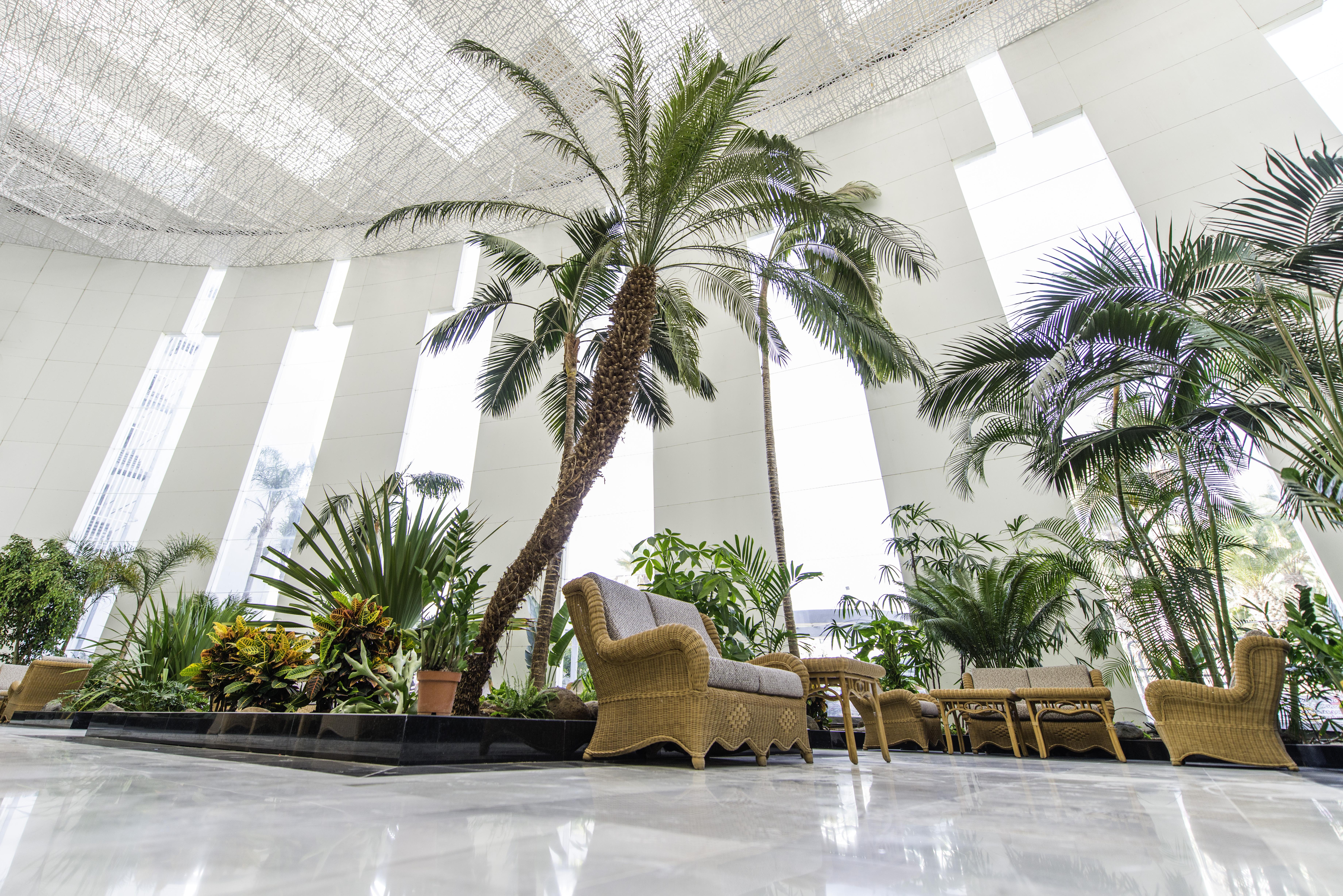 Spring Hotel Vulcano Playa de las Americas  Esterno foto